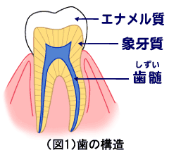 2.gif