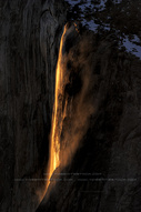 YosemiteRed horse tail fall ֤Ϥ