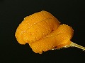 DSCF4329.jpg