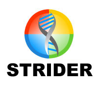 StriderLogo.gif