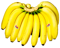 banana_photo.gif