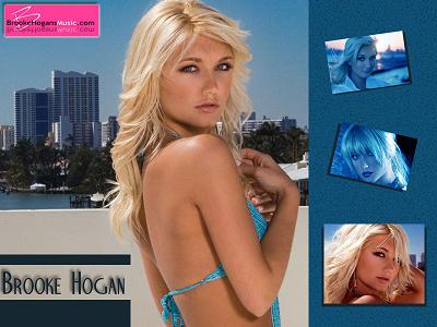 brooke hogan ֥åۡ