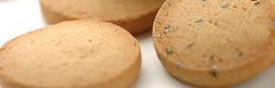cookie02.jpg
