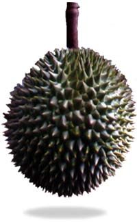 durian01.jpg