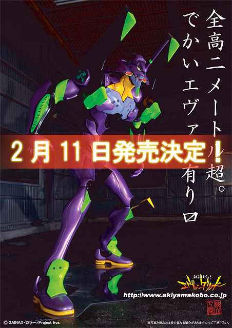 eva_flier.jpg