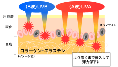 hikari_uv_01.gif