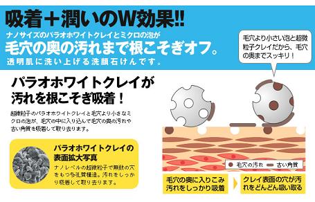 ѥ饪ۥ磻ȥ쥤