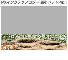 img_03_01.gif