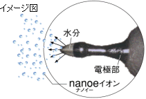 jn050719-2-3.gif