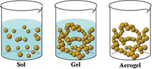 morphology_fig4.jpg