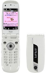 n901icw.jpg