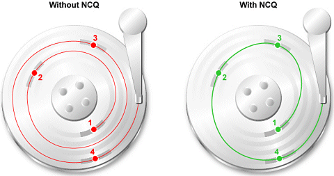 ncq-diagram.gif