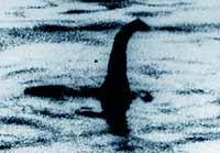 nessie_01.jpg