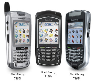 ɥ ֥å٥꡼Black Berry