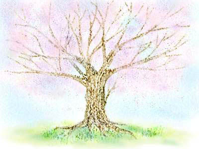 sakura_tree.jpg