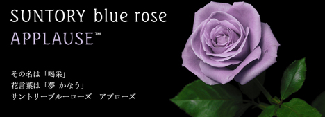 suntory_bluerose091103.jpg