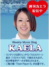 weekly_kaera02.jpg